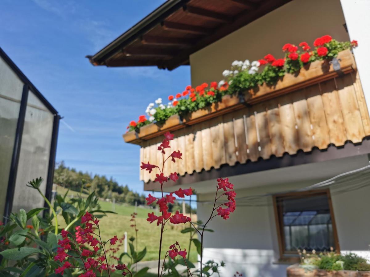 Bio-Bauernhof Mairinghof-Paris Villa Silandro Eksteriør billede